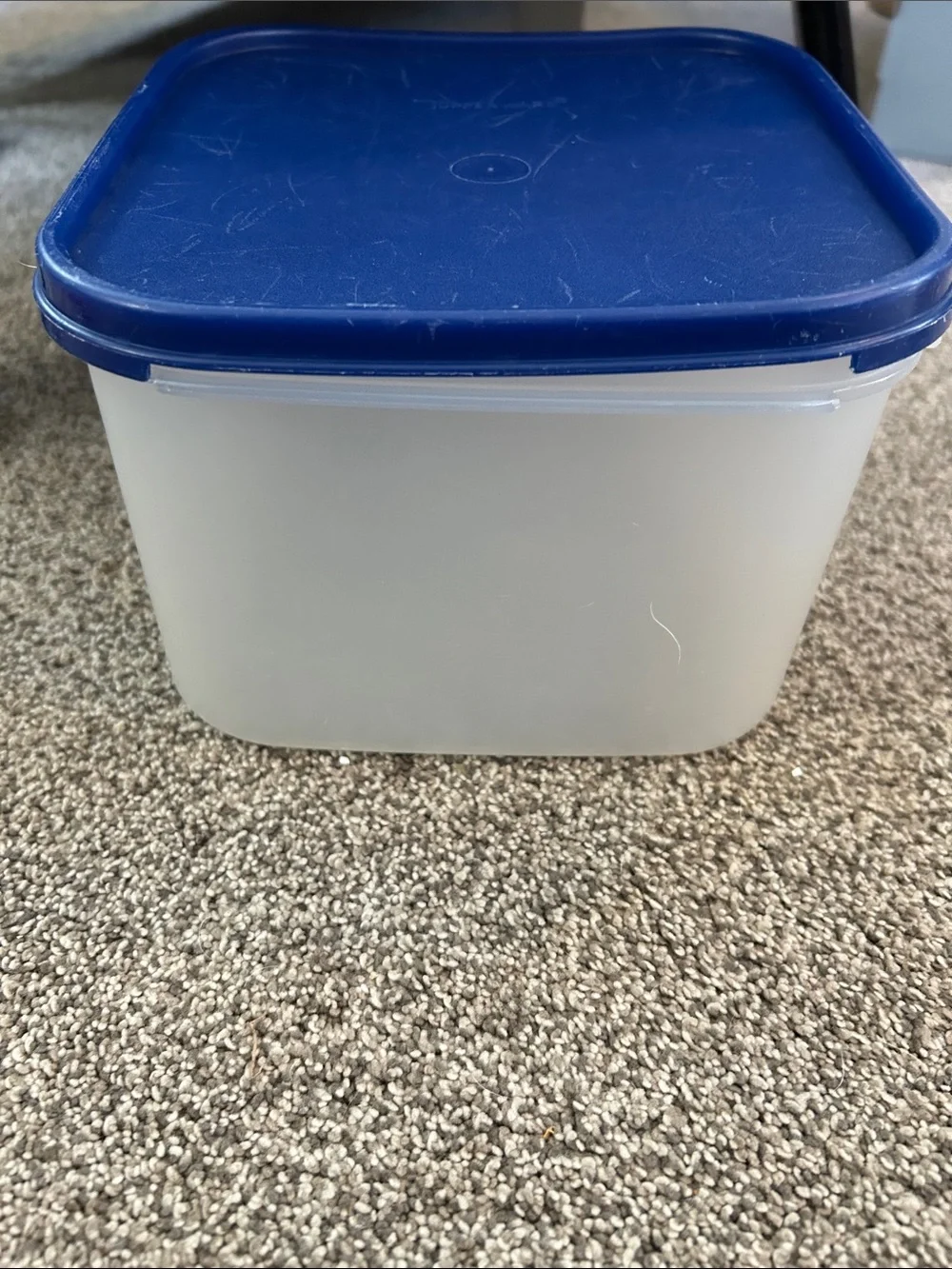 Tupperware #2 Modular Mate Blue Lid Translucent Food Storage Container- 11 cup